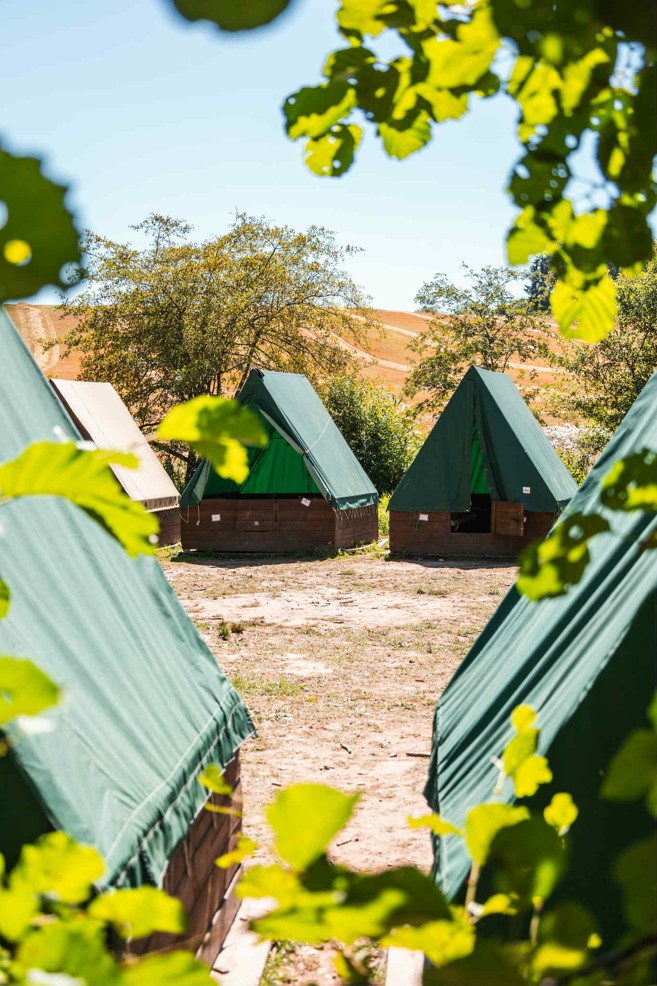 bfb4a59a-9d08-473e-bb5a-ae7f2ed2d1fc