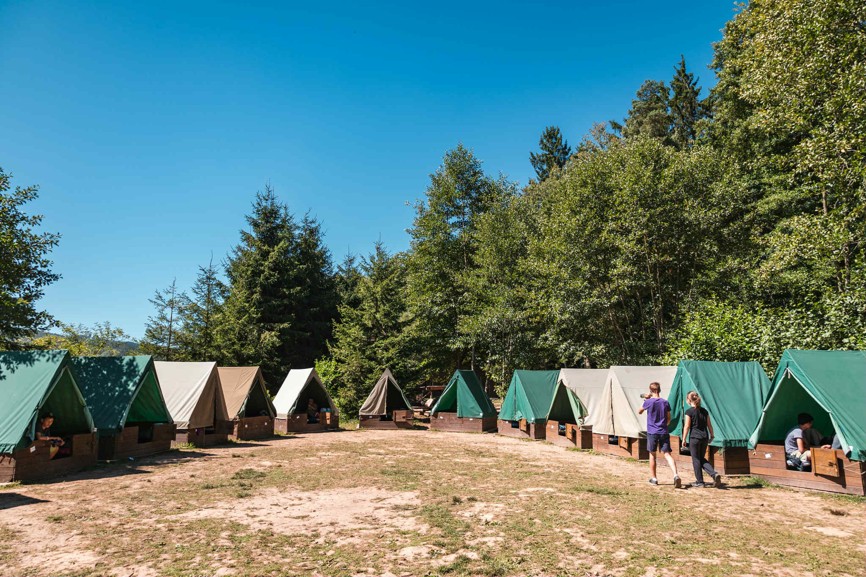 fe10c8b3-1144-4a23-989a-b9e9264ddefe