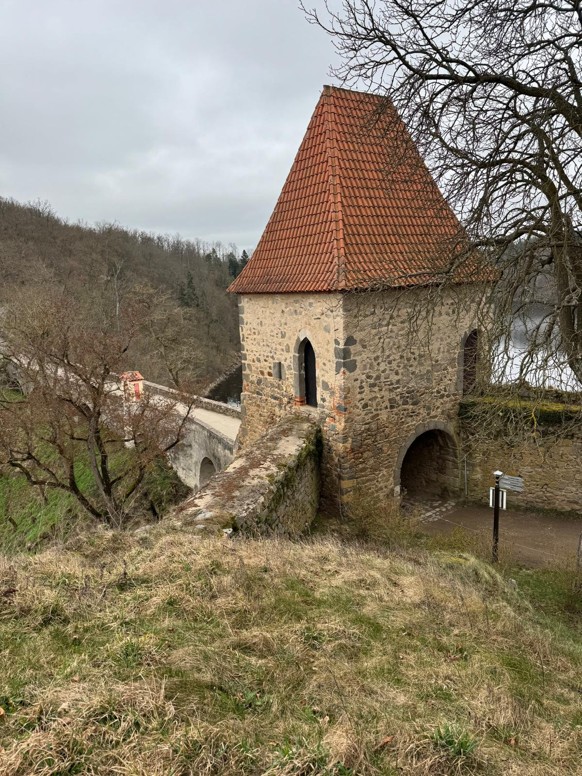 WhatsApp Image 2026-03-15 at 11.22.59