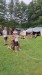 IMG-20260825-WA0041
