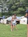 IMG-20260825-WA0043